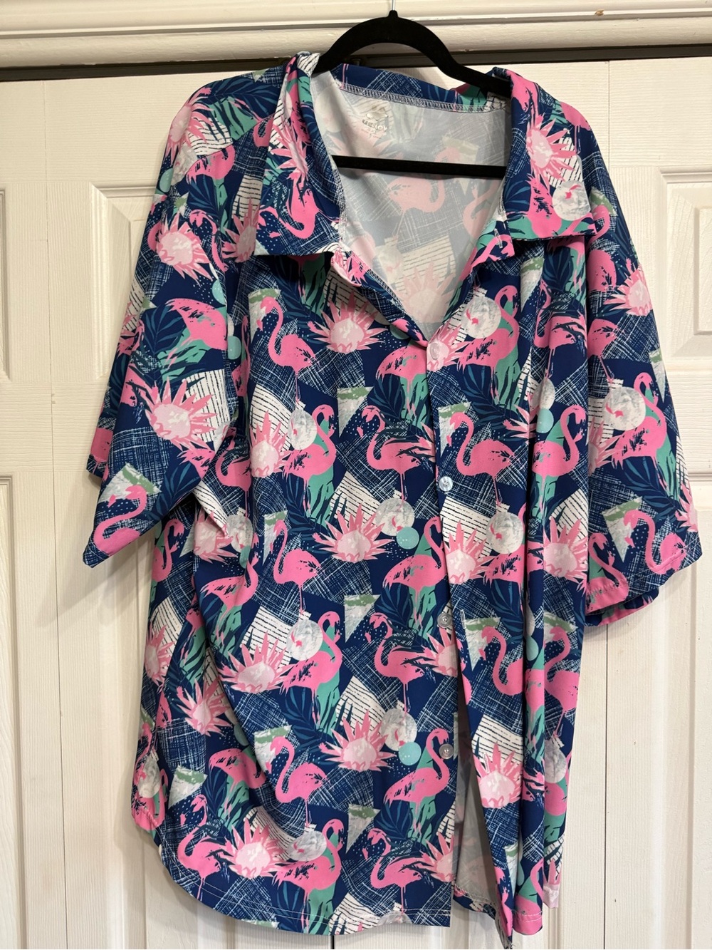 Pink Flamingo Print Button-Up Shirt and shorts set!